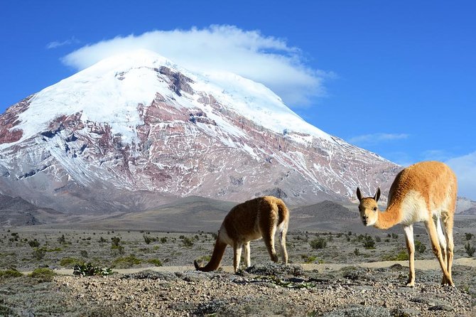 10-Day Ecuador Highlights - Must-Visit Destinations