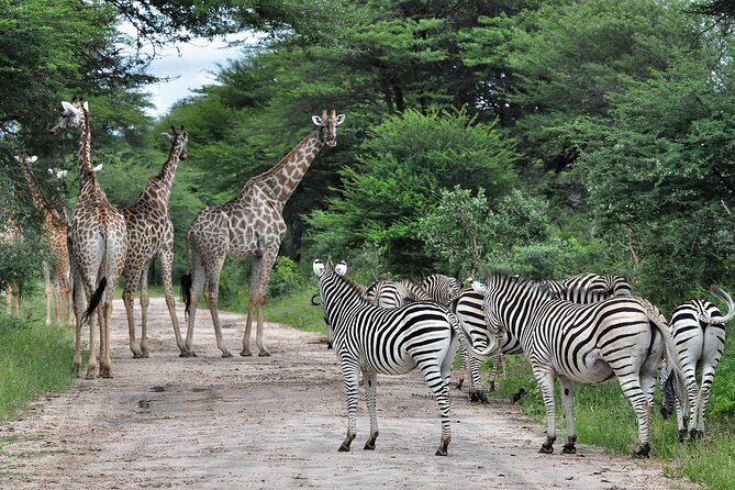 10-Day Expedition to Victoria Falls-Hwange & Chobe National Park - National Park Fees
