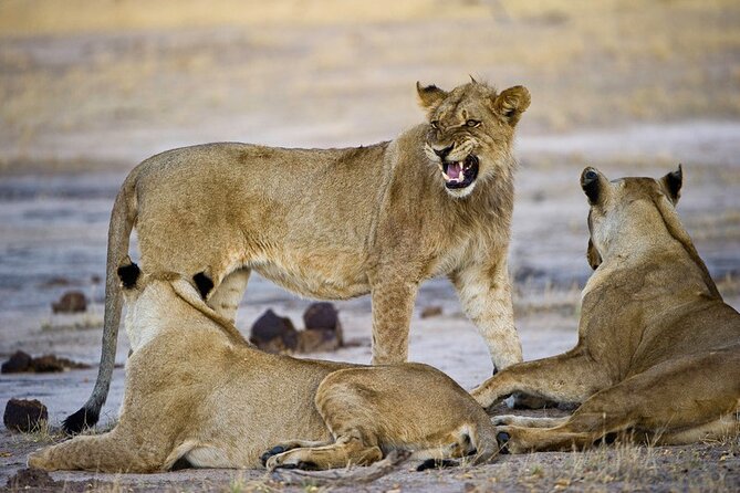 10-Day Expedition to Victoria Falls-Hwange & Chobe National Park - Cancellation Policy Details