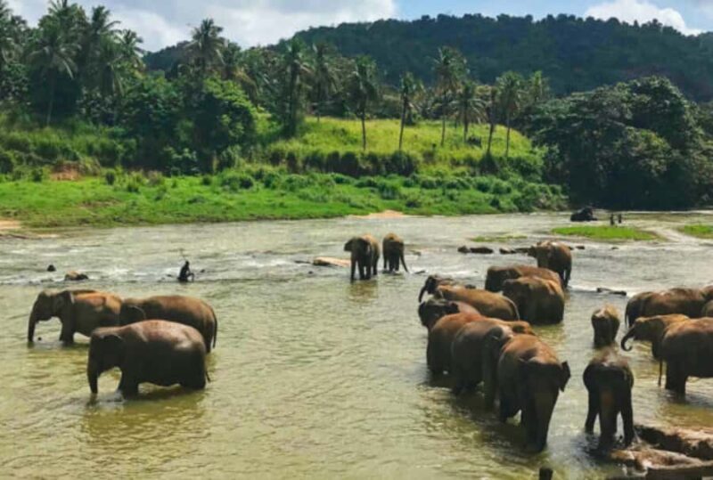 10 Day Flash Tour of Sri Lanka Cover 7 Land Marks! - A Closer Look at the 10-Day Sri Lanka Flash Tour