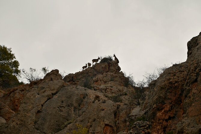 10-Day Great Armenian Discovery Tour - Booking and Cancellation Policy