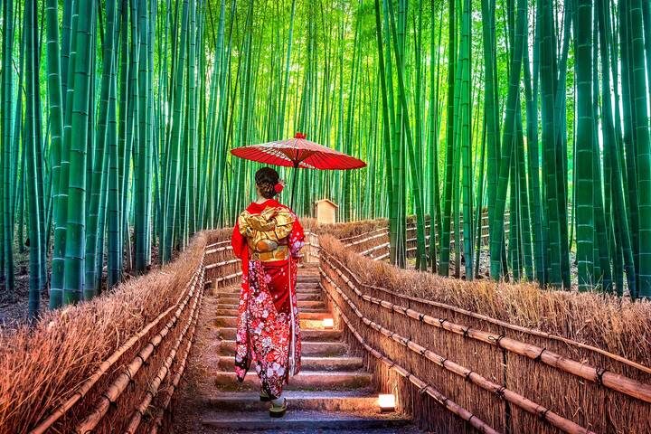 10-Day Highlights Of Japan & China by Intertrips - Tokyo to Beijing Tour - A fast route through two very different countries
