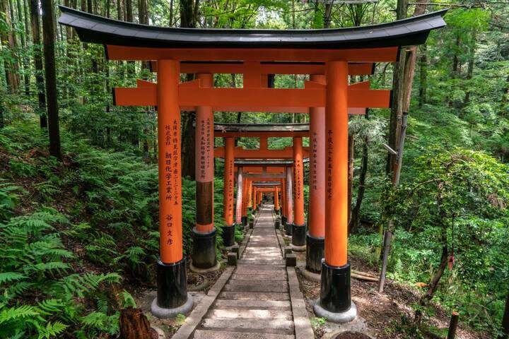 10 Day Highlights of Japan Small Group Tour Package by Tourist Journey - Hotels, Price and What the Package Covers