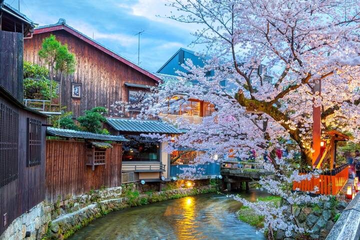 10 Day Highlights of Japan Small Group Tour Package by Tourist Journey - Who Should Book This Japan Tour?