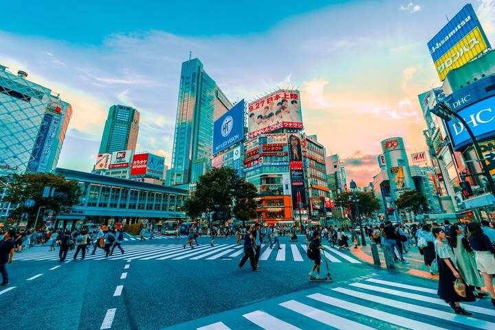 10-Day Highlights of Japan & South Korea by Intertrips - Tokyo begins with a practical arrival, not a city tour