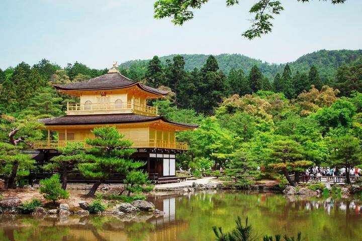 10-Day Highlights of Japan & South Korea by Intertrips - The return to Tokyo is the trip’s biggest transport decision