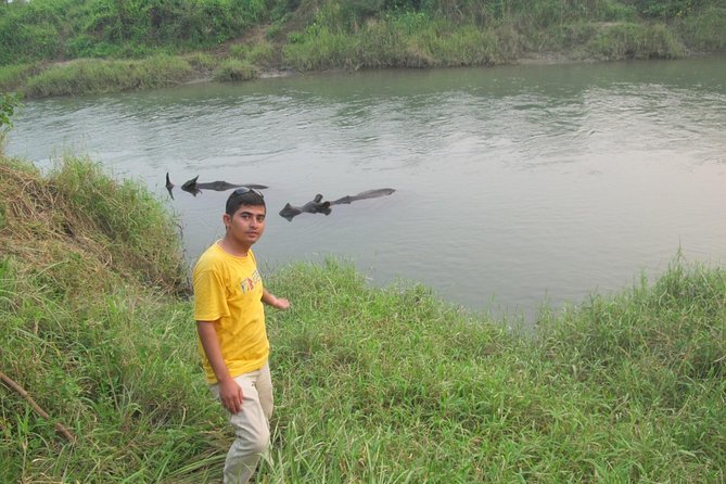 10 Day Kathmandu, Nagarkot, Chitwan, Lumbini, Pokhara Luxury Tour in Nepal - Chitwan Jungle Safari