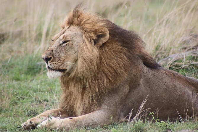 10 Day Kenya Safari - Additional Information and Reviews