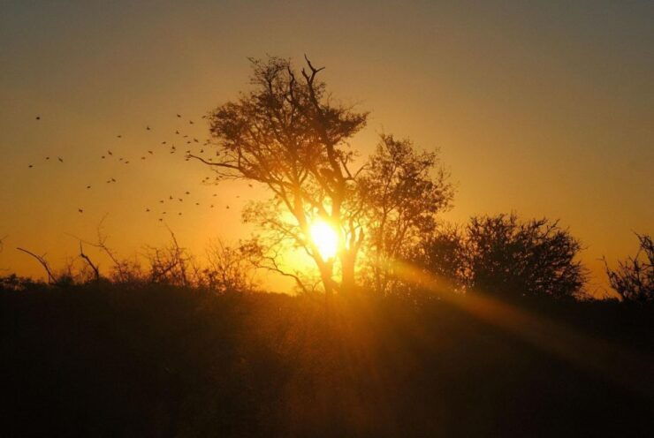 10 Day Kruger and Beyond Photographic Tour - Itinerary