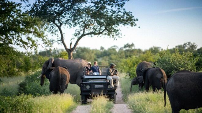 10 Day Kruger and Beyond Photographic Tour - Frequently Asked Questions