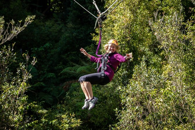 10 Day Northern Trail Haka Plus Tour - Sunset Cruise in Raglan