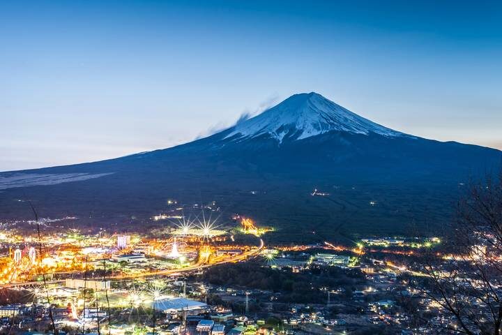 10-Day Private Japan Family Tour with Kids by UME Travel - Tokyo to Osaka - Fushimi Inari, Uji tea and Nara’s deer