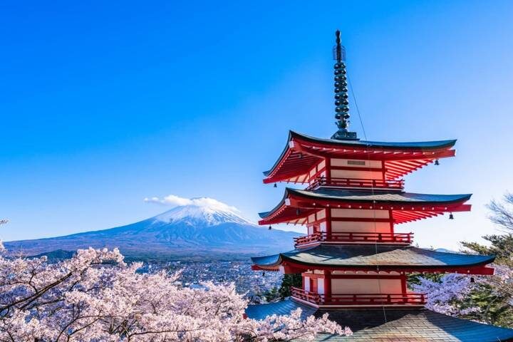 10-Day Private Japan Family Tour with Kids by UME Travel - Tokyo to Osaka - Universal Studios Japan: big rides, big crowds
