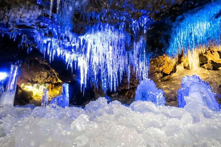 10-Day Private Japan Family Tour with Kids by UME Travel - Tokyo to Osaka - What the price covers, and what it does not