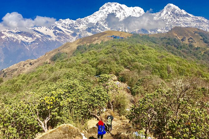 10-Day Private Mardi Himal Trek From Kathmandu - Reviews and Pricing