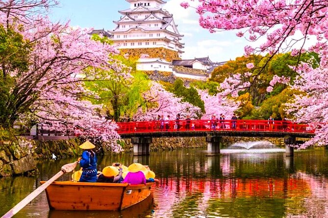 10-Day Private Sightseeing Tour in Japan More Than 60 Attractions - Tour Details