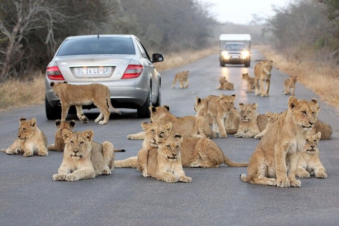 10-Day Private Tour Johannesburg to Cape Town - Tour Highlights