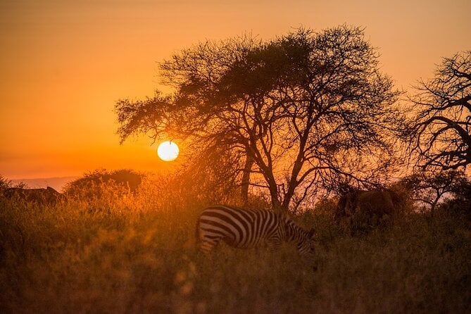 10-Day River Crossing Serengeti Wildebeest Migration Safari - Safety and Travel Guidelines