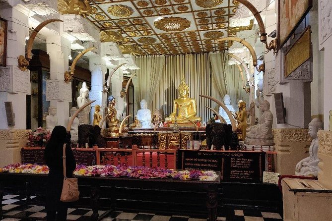 10 Day Round Tour in Sri Lanka - Itinerary Overview