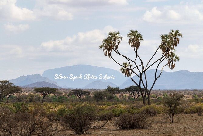 10-Day Samburu National Resreve, L Naivasha, Maasai Mara, Amboseli, L Nakuru - Frequently Asked Questions