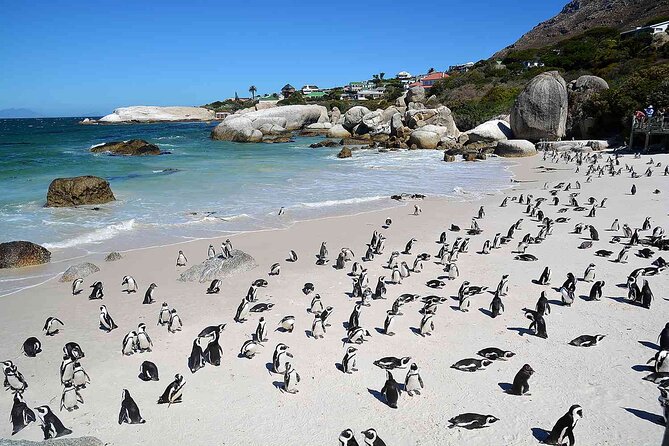 10 Day Shared Tour Visit of South Africa With Licensed Guide - Meeting and Pickup Information