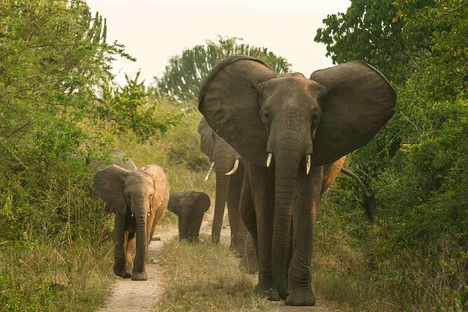 10 Day Source of the Nile, Jinja Uganda-Rwanda - Accommodation Details