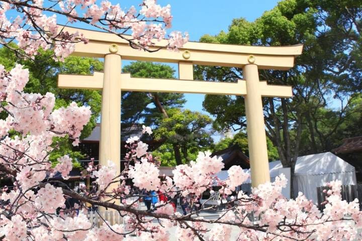 10 Day Southern Japan Cherry Blossom Festival by UME Travel - How the ten-day route fits together