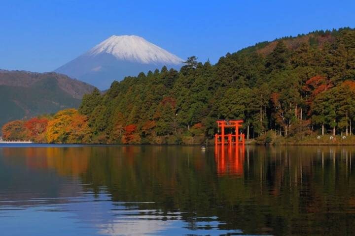 10 Day Southern Japan Cherry Blossom Festival by UME Travel - Arashiyama’s bamboo, gardens and river railway