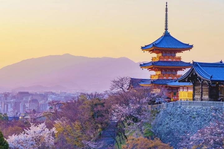 10 Day Southern Japan Cherry Blossom Festival by UME Travel - Hiroshima’s memorials and the meaning of the visit