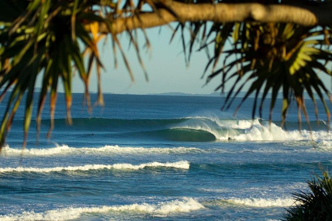10-Day Surf Adventure From Sydney to Brisbane Including Coffs Harbour, Byron Bay and Gold Coast - Accommodation and Meals