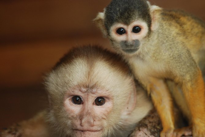 10-Day Tour From Lima: Amazon Jungle, Machu Picchu and Lake Titicaca - Cancellation Policy