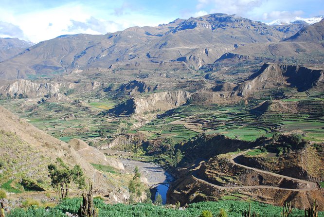 10-Day Tour From Lima: Machu Picchu, Lake Titicaca and Colca Canyon - Wildlife Encounter at Colca Canyon
