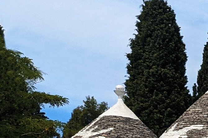 10 Day Tour in Mediterranean Marvels Rome to Athens or Corfu - Operator Information