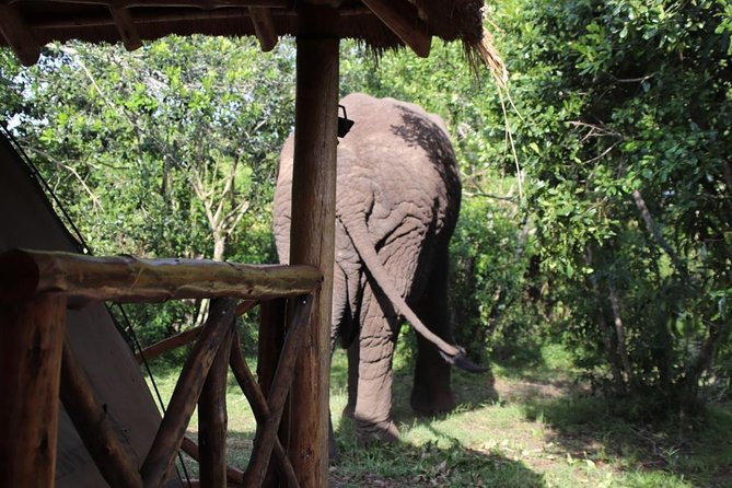 10 Day Western Uganda Budget Wildlife Safari - The Sum Up