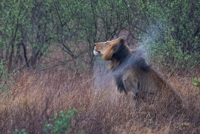 10 Day Wildlife Photographic Safari - Kruger National Park - B1 Photo Safaris - Photography Equipment