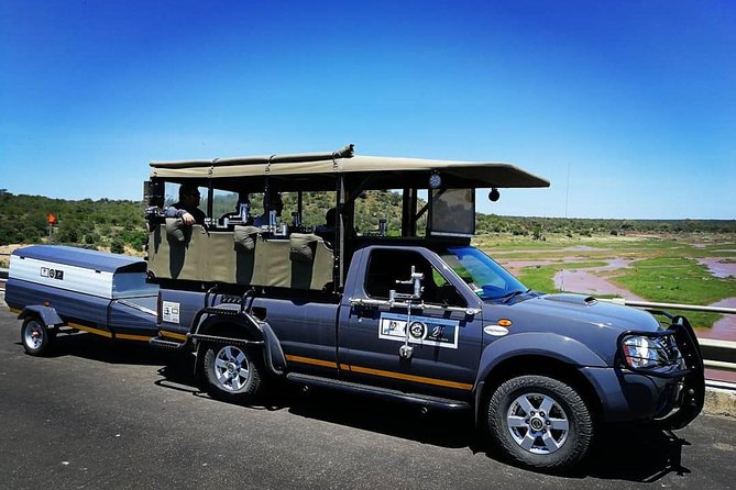 10 Day Wildlife Photographic Safari - Kruger National Park - B1 Photo Safaris - Game Drives and Transfers