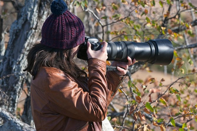 10 Day Wildlife Photographic Safari - Kruger National Park - B1 Photo Safaris - Traveler Reviews