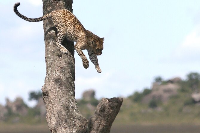 10 Days 9 Nights Exposure Africa Premium Safari Package - Meeting and Pickup Information