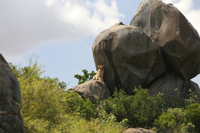 10 Days 9 Nights Exposure Africa Premium Safari Package - Pricing and Reviews