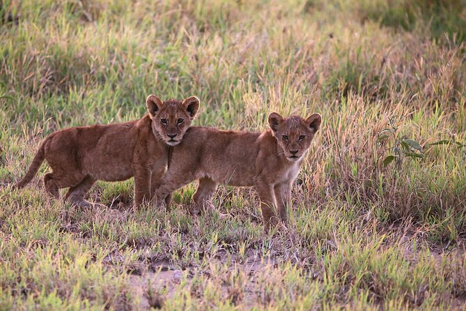 10 Days 9 Nights Exposure Africa Premium Safari Package - The Sum Up