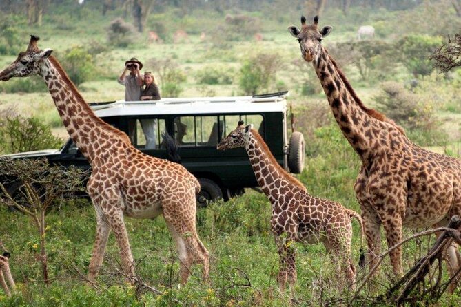 10 Days 9 Nights Kenya Bush & Beach Private Safari - Exclusions and Optional Add-Ons