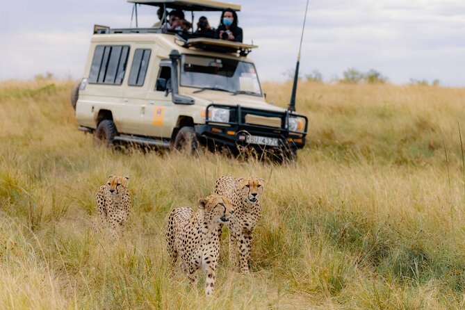10 Days 9 Nights Kenya Bush & Beach Private Safari - Booking and Contact Information