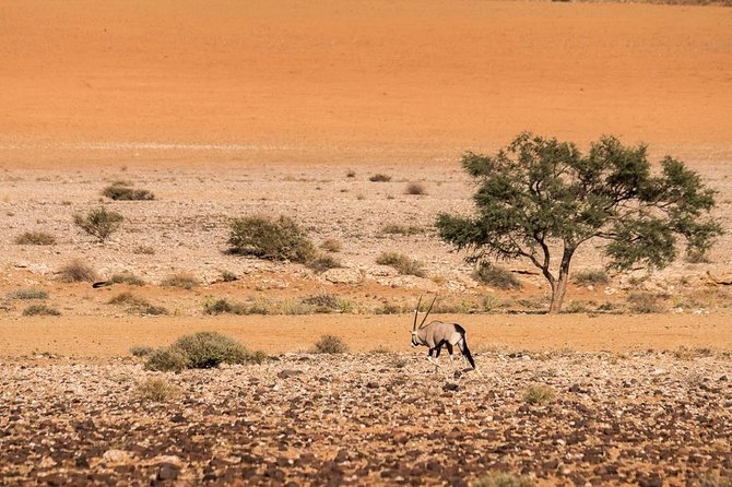10 Days / 9 Nights Taste of Namibia - Self-drive - Cultural Experiences
