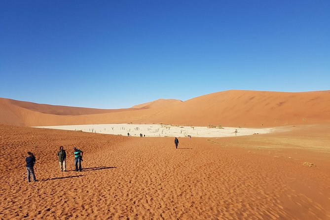 10 Days / 9 Nights Taste of Namibia - Self-drive - Wildlife Encounters