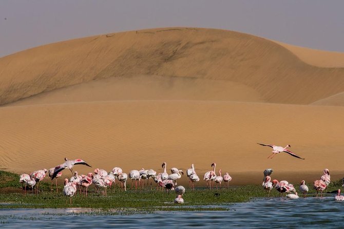 10 Days / 9 Nights Taste of Namibia - Self-drive - Travel Tips and Recommendations