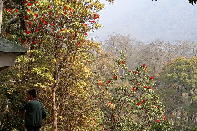 10 Days Annapurna Base Camp Trek - Safety Measures