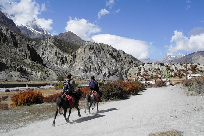 10 Days Annapurna High Camp Trek - Trek Accommodation