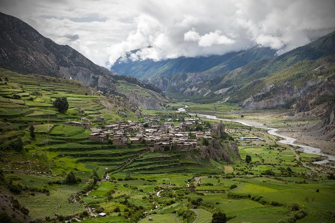 10 Days Annapurna High Camp Trek - Flora and Fauna