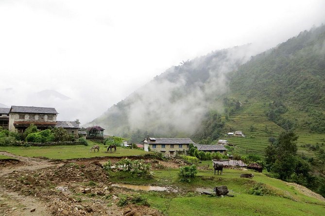 10 Days Annapurna Poon Hill Ghorepani Ghandruk Homestay Trek - Required Gear