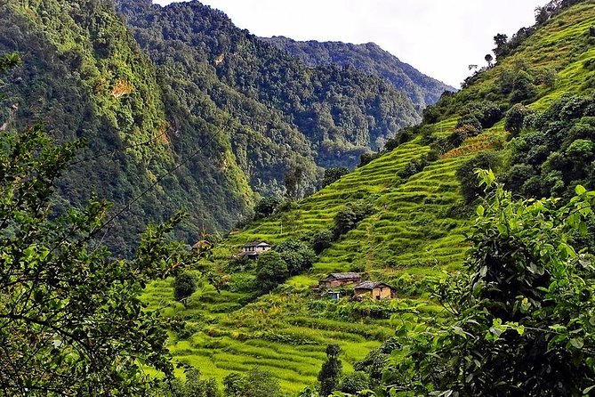 10 Days Annapurna Poon Hill Ghorepani Ghandruk Homestay Trek - Common Questions